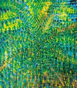 Wunder der Evolution - Afrika Wunder der Evolution - Afrika