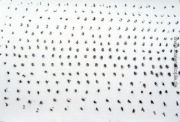 Untitled, # 1852013 Untitled, # 1852013