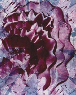 Plains Rose Plains Rose