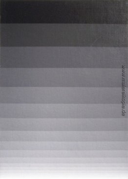 Schwarz / Weiß # 36 Schwarz / Weiß # 36