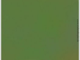 Microchromie vert-terre Microchromie vert-terre