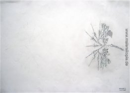 IMG 6126 IMG 6126