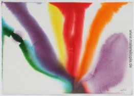 Phenomena Kompasspeilung Phenomena Kompasspeilung