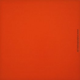 Monochromen Orange Monochromen Orange