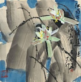 Bunte Lotus Bunte Lotus