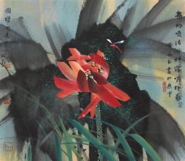 Lotus Lotus