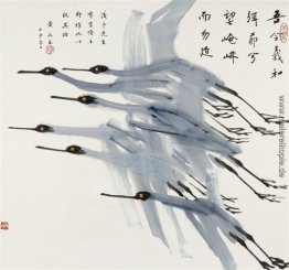 Cranes Cranes
