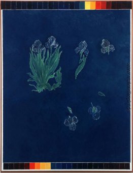 In Space, Blau Irises In Space, Blau Irises