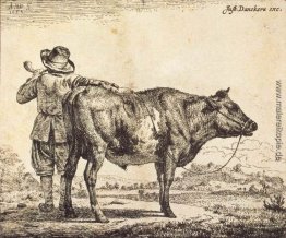Stier Stier