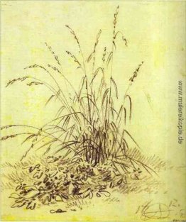 Gras Gras