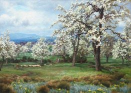 Die Birnen-Obstgarten Die Birnen-Obstgarten