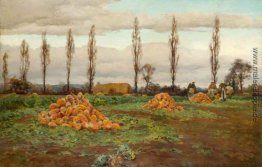 Der Schwede Ernte Der Schwede Ernte
