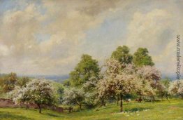 Frühlingssonne Frühlingssonne