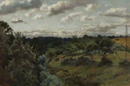 Landschaft Landschaft