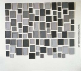 96 Plaster Surrogates 96 Plaster Surrogates