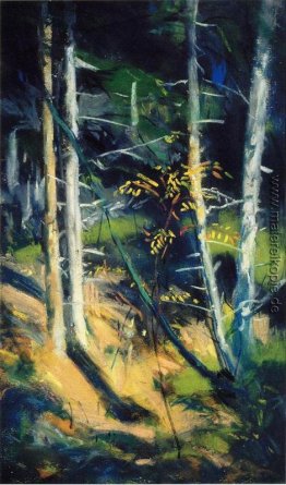 Maine Landschaft Maine Landschaft