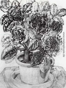 Blumen Blumen