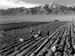 Bauernhof, Landarbeiter, Mt. Williamson im Hintergrund, Manzanar Bauernhof, Landarbeiter, Mt. Williamson im Hintergrund, Manzanar
