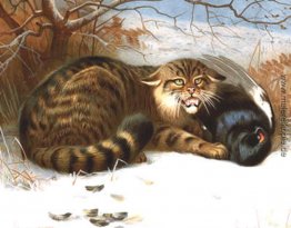 Wilde Katze Wilde Katze