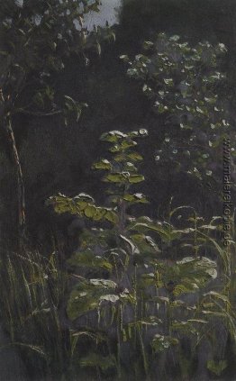 Wald. Klette Wald. Klette