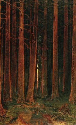 Sonnenuntergang im Wald Sonnenuntergang im Wald