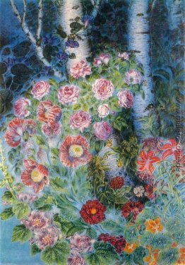 Blumen und Birken in den Abend Blumen und Birken in den Abend