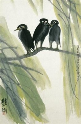 Birds admist Willow Birds admist Willow