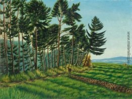 Waldrand in der Nähe von Langenargen Waldrand in der Nähe von Langenargen