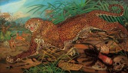 Leopard Leopard