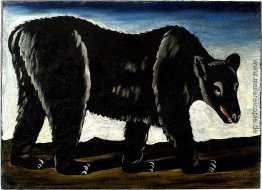 Schwarzbär Schwarzbär