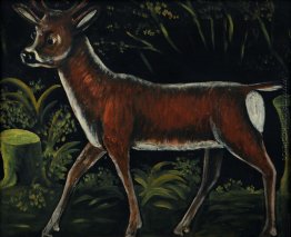 Roe deer fawn Roe deer fawn