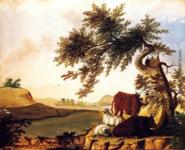 Landschaft Landschaft