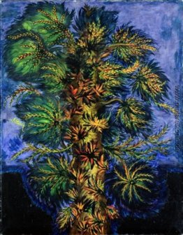 Baum Baum
