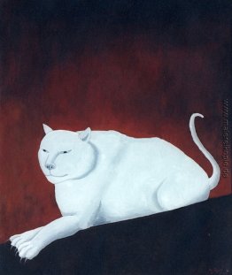 Weiße Katze Weiße Katze