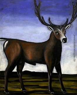 Hirsch Hirsch