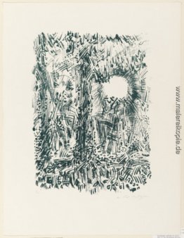 Die Sonne im Wald Die Sonne im Wald