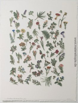 Botanica (Blumen) Botanica (Blumen)