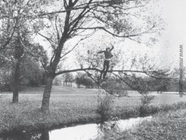 Broken Fall (Bio) Broken Fall (Bio)