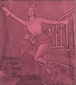 Ich träumte, ich ging zum Teufel in meinem Maiden Bra (pink) Ich träumte, ich ging zum Teufel in meinem Maiden Bra (pink)