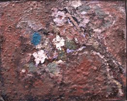 Apfelblüte Zweig Apfelblüte Zweig