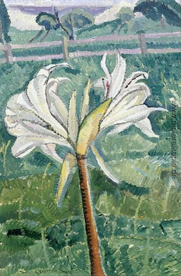 Lily wächst in einem Feld am Meer Lily wächst in einem Feld am Meer