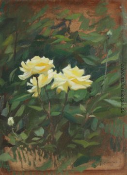 Wild Roses Wild Roses