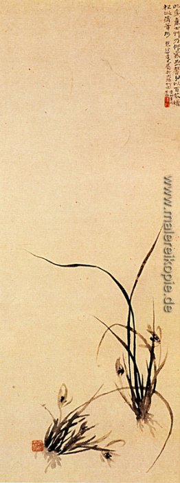 Shoots von Orchideen Shoots von Orchideen