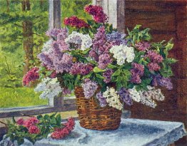 Flieder am Fenster Flieder am Fenster