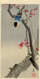 Gimpel auf Blühender Pflaumen- Gimpel auf Blühender Pflaumen-