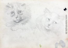 SKETCHES burmesischer CATS