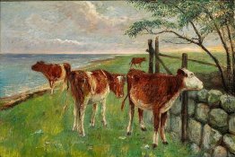 Cattle in der Nähe von einem Tor, Saltholm