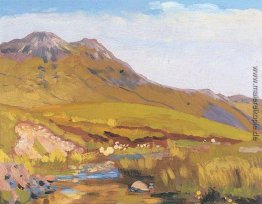 Walisischen Landschaft