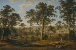 Launceston und der Fluss Tamar