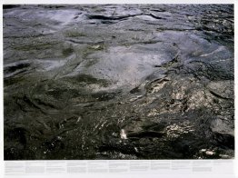 Untitled (aus der Serie Still Water (Die Themse, zum Beispiel))